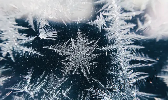 氷の結晶